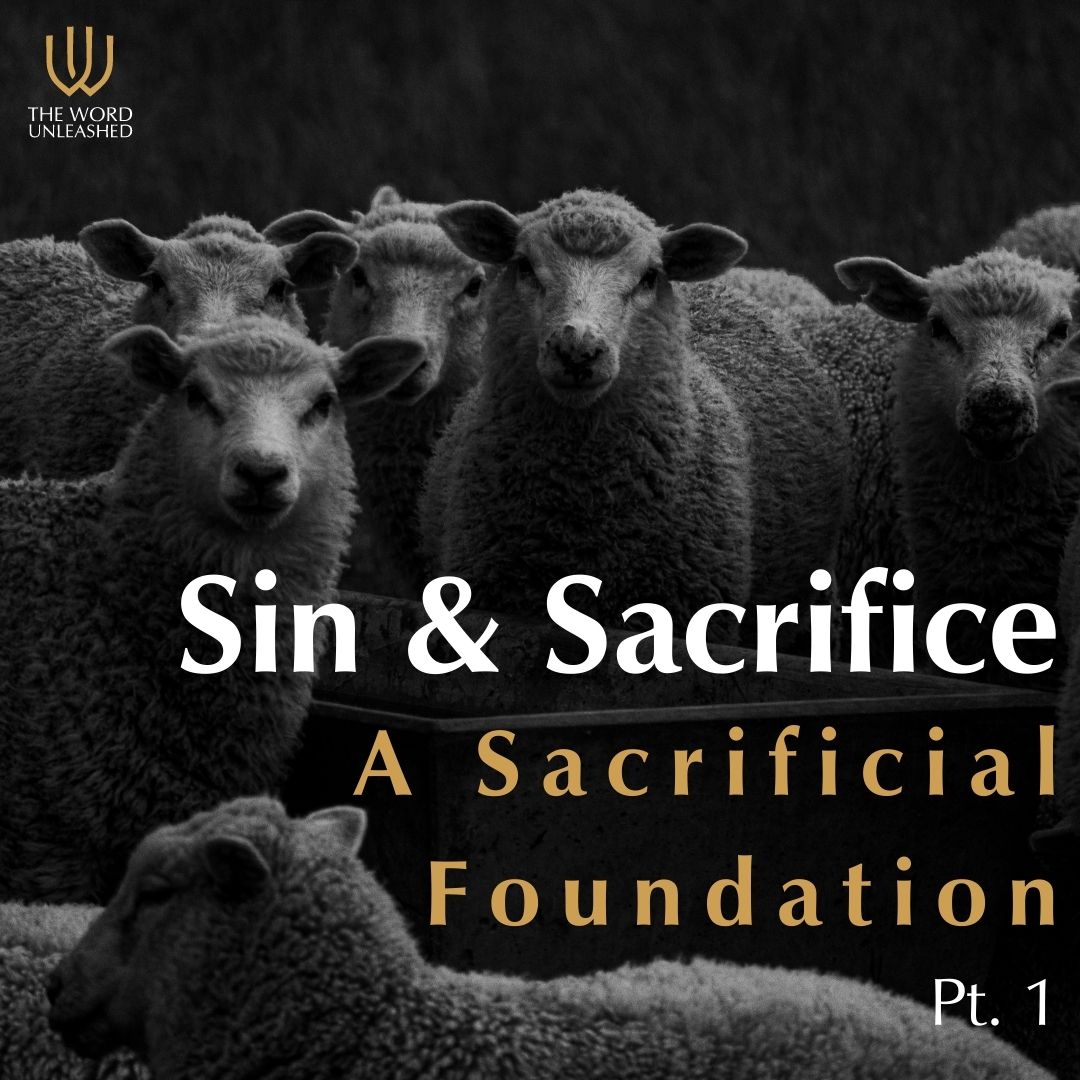Sin & Sacrifice Pt. 1 | A Sacrificial Foundation
