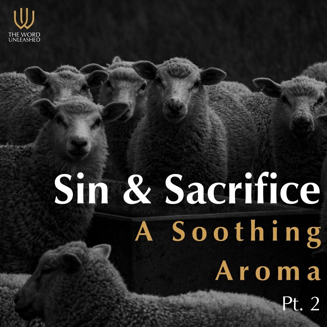 Sin & Sacrifice Pt. 2 | A Soothing Aroma