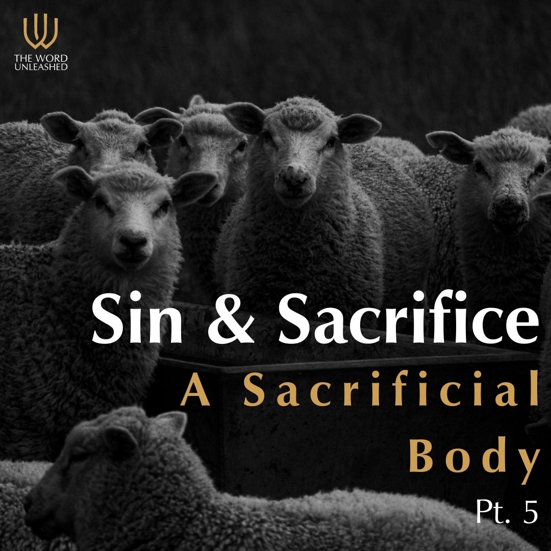 Sin & Sacrifice Pt. 5 – A Sacrificial Body
