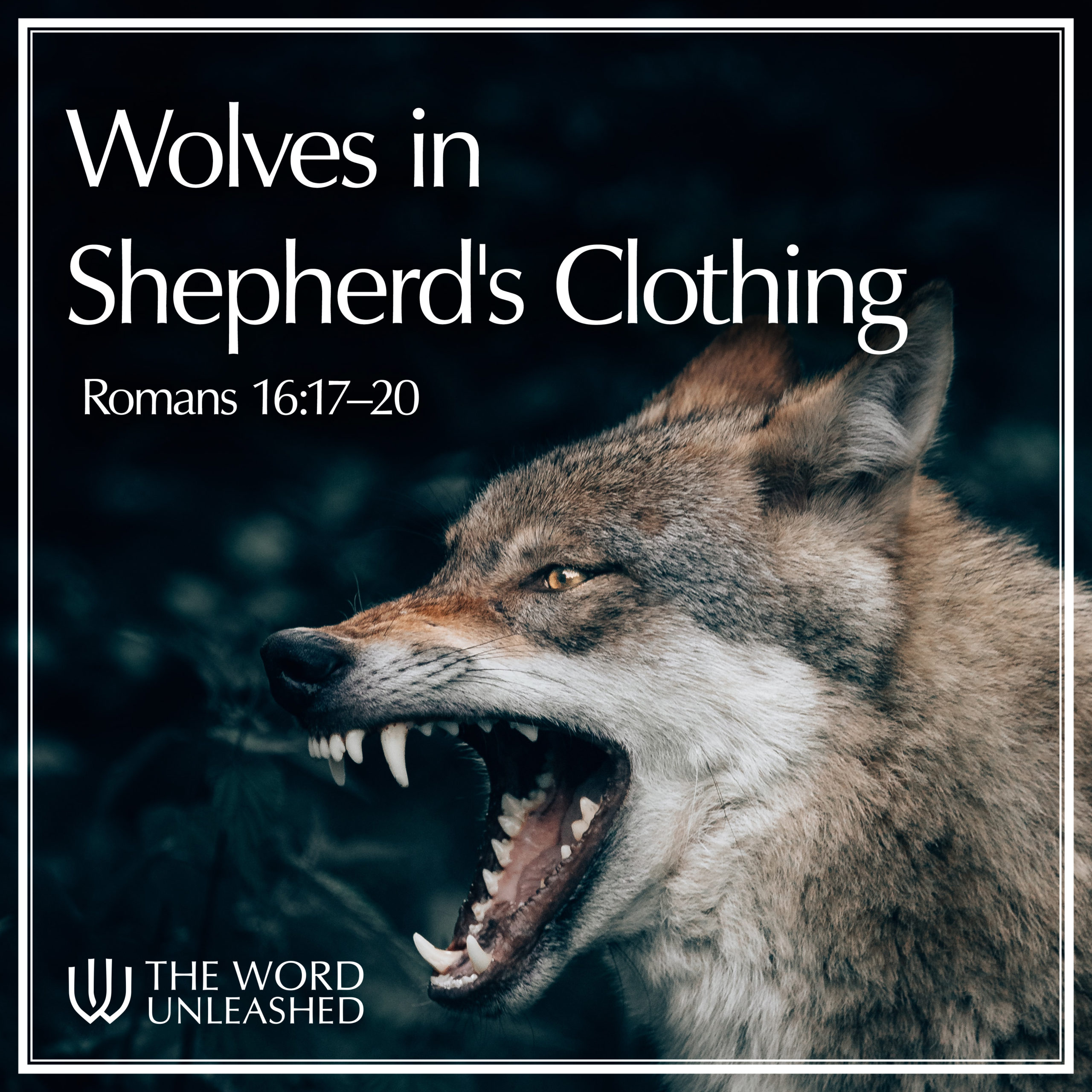Wolves in Shepherd's Clothing