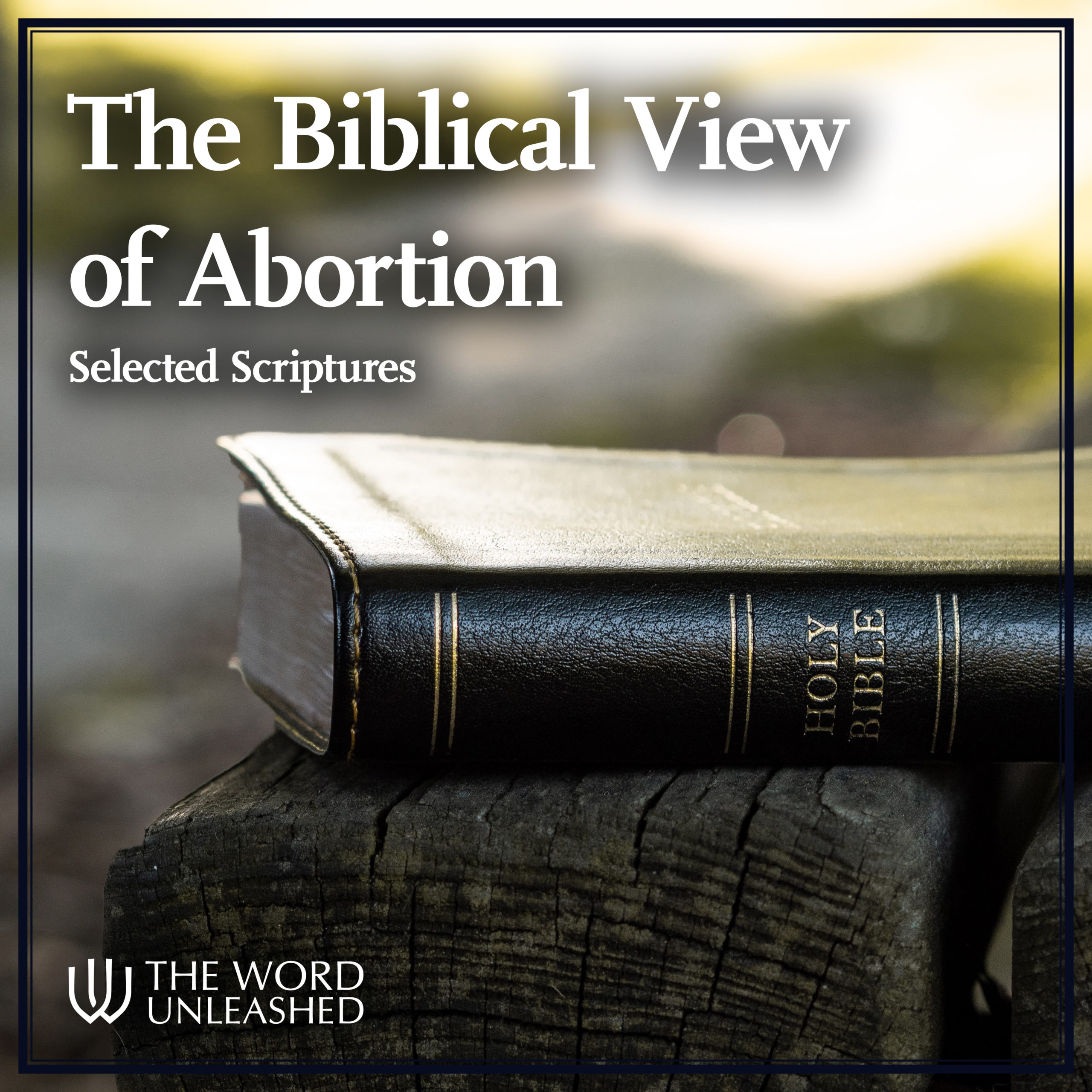 The Biblical View of Abortion