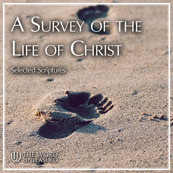 A Survey of the Life of Christ