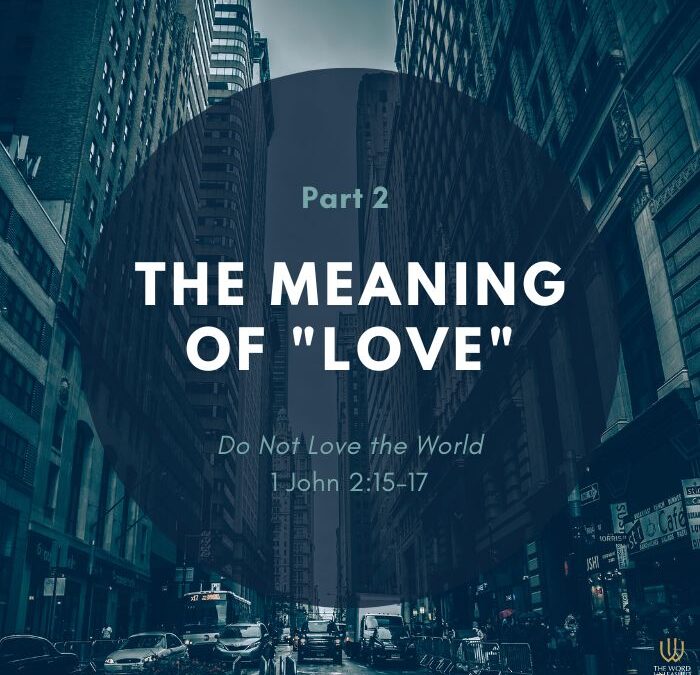 Do Not Love the World – Pt. 2 | The Meaning of Love