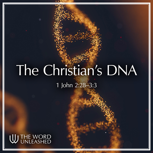 The Christian's DNA
