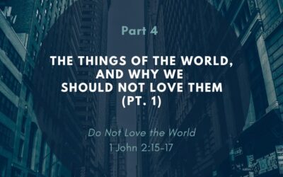 Do Not Love the World – Pt. 4 | The Things of the World, and Why We Should Not Love Them (Pt. 1)
