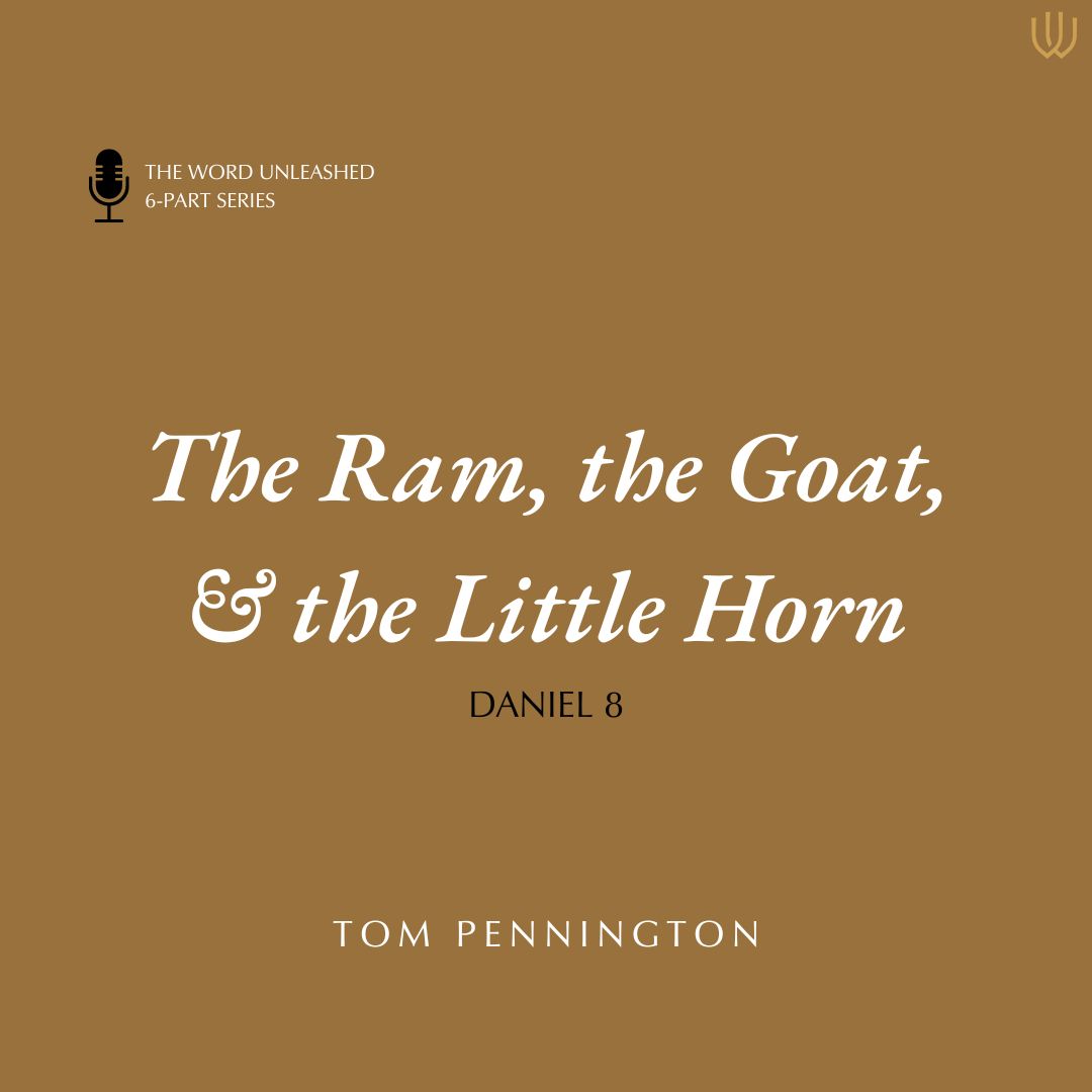 The Ram, the Goat & the Little Horn