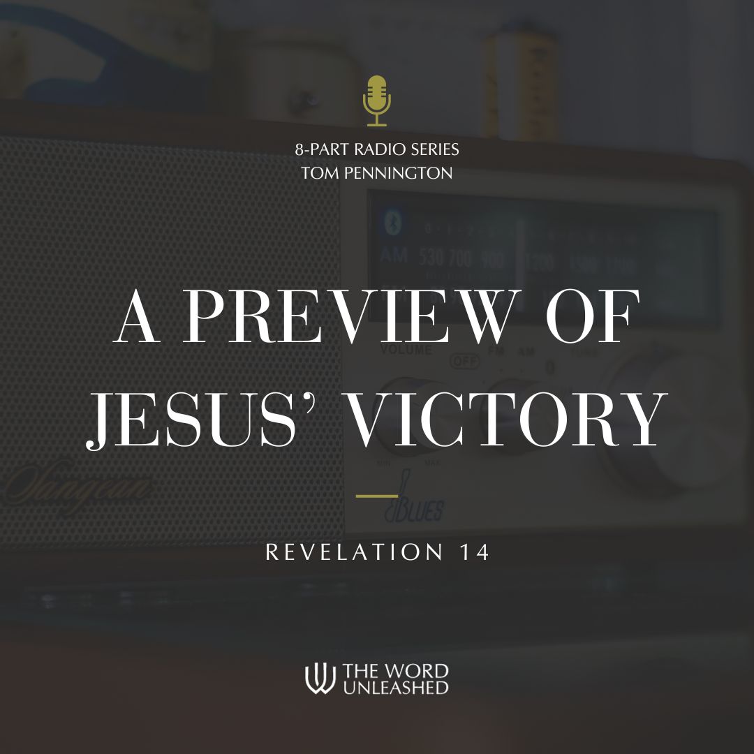 A Preview of Jesus' Victory