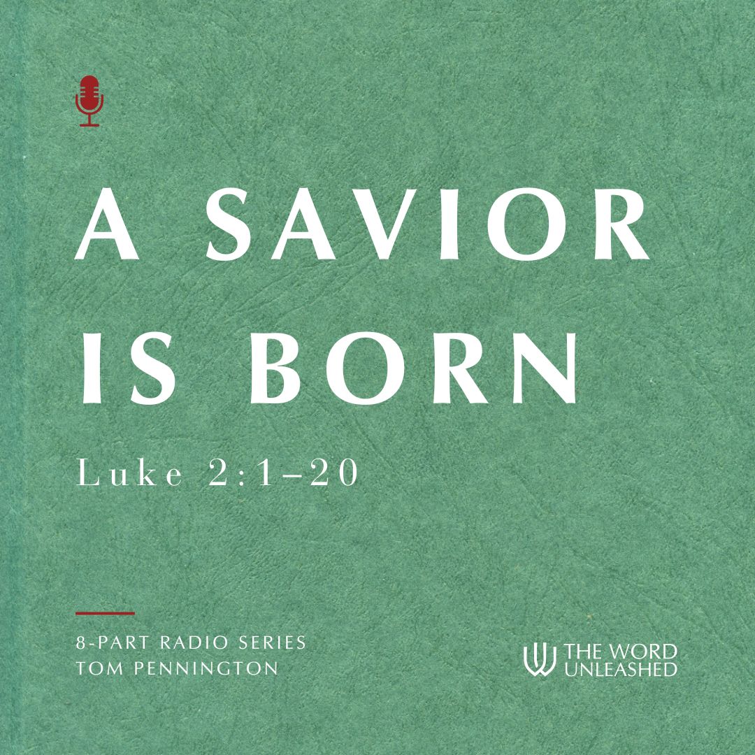 A Savior Is Born!