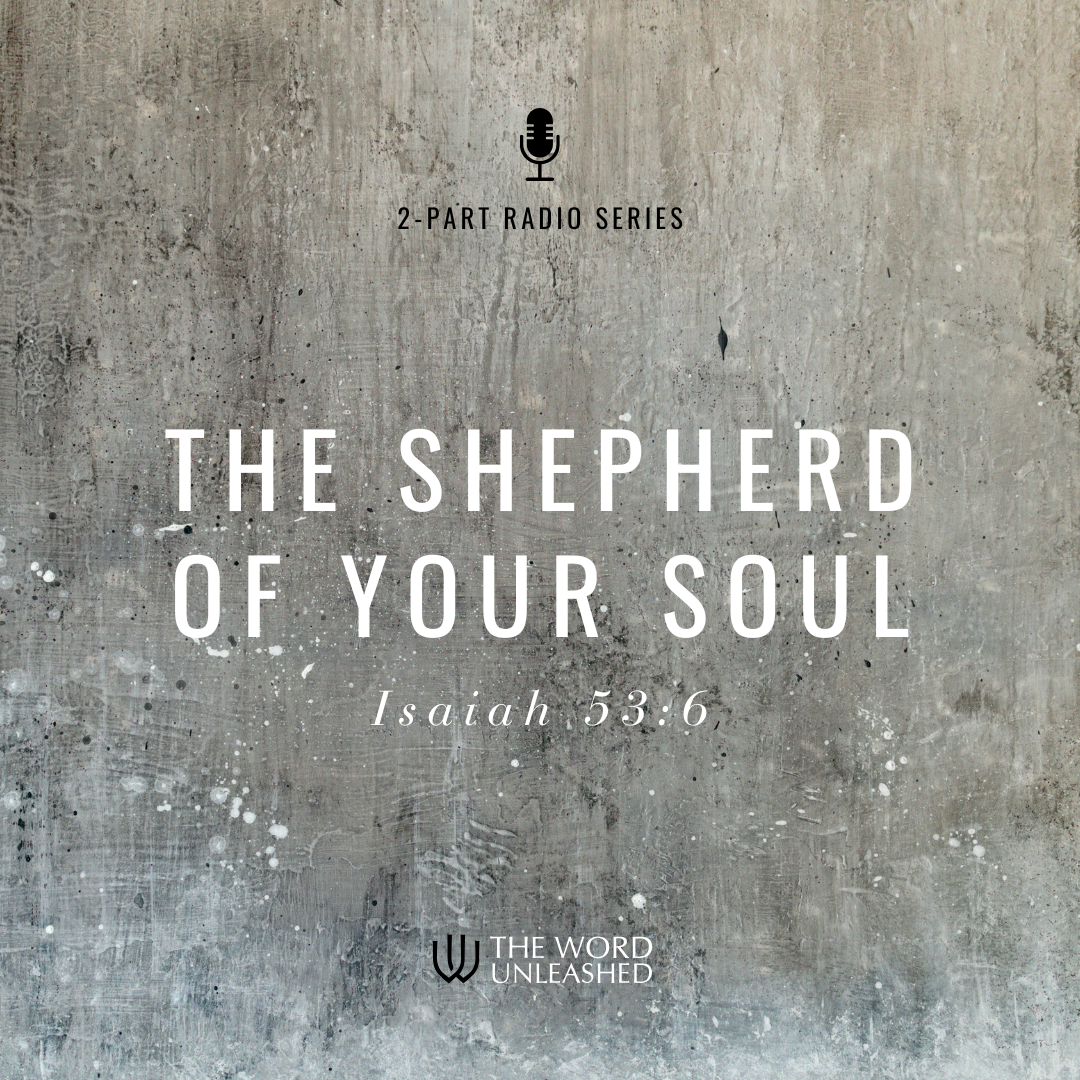 The Shepherd of Your Soul